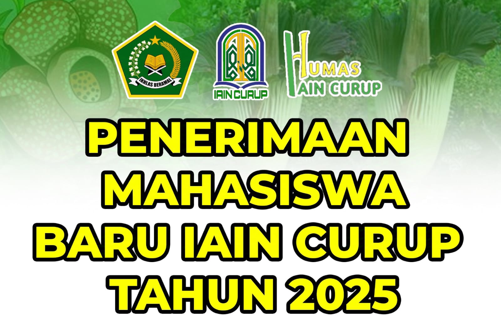 Telah Dibuka jalur UM-PTKIN IAIN Curup Tahun 2025
